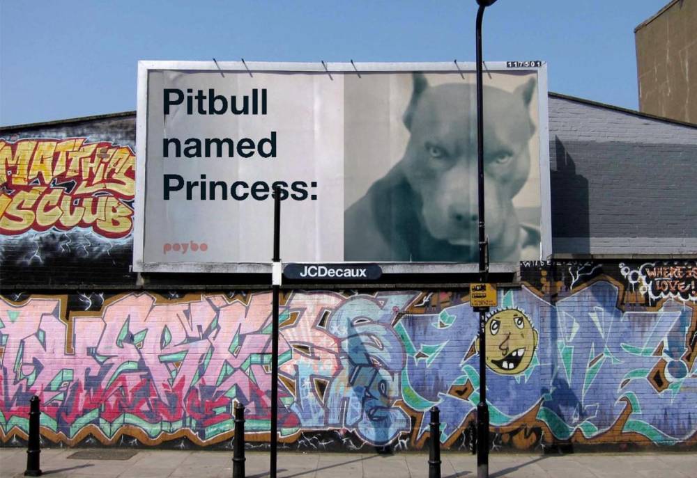 pitbull named princess