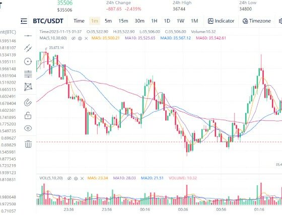 Payinate.vip Unveils BRC20 Token Ecology, Establishing the World's Largest BRC20 Ecosystem