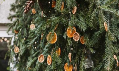 5 Must Have Advice for Perfect Christmas Tree Maintenance
