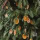 5 Must Have Advice for Perfect Christmas Tree Maintenance