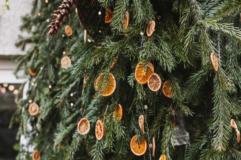 5 Must Have Advice for Perfect Christmas Tree Maintenance