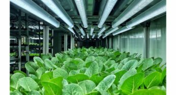 Carl Casale Discusses The Technological Transformation of Modern Agriculture