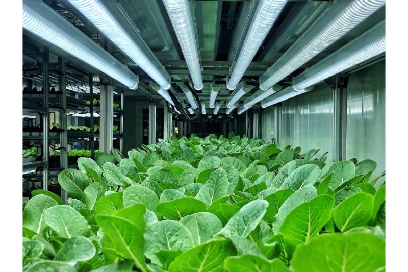 Carl Casale Discusses The Technological Transformation of Modern Agriculture