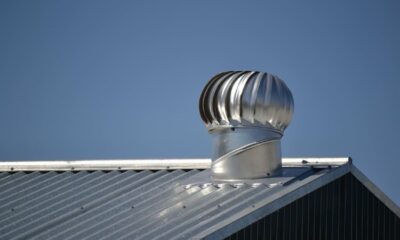 The Role of Roof Ventilation in Maintaining a Healthy Home