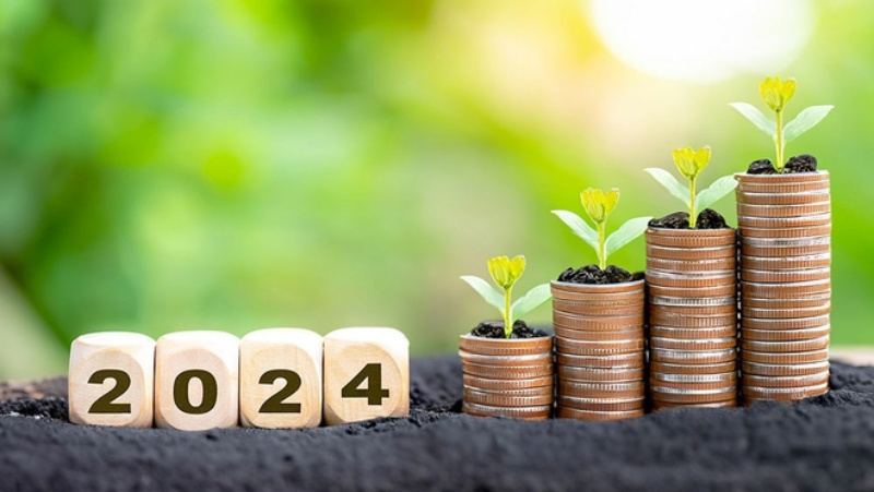 Best Suggestions to Turn 2024 Into a Financial Triumph