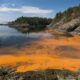 David Hastings Explores Toxic Tides The Impact of Harmful Algae Blooms in Florida