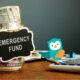 Significance of an Emergency Fund to Ensure the Survival and Financial Stability of Small Businesses