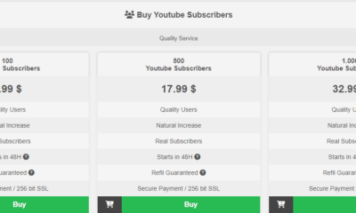 The Impact of YouTube Subscribers on Your Business