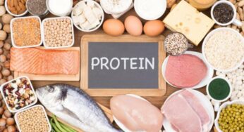 Easy Tips to up the Protein in Your Diet Every Day on National Protein Day