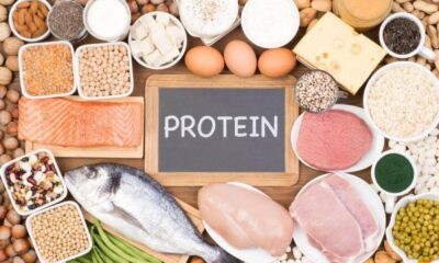 Easy Tips to up the Protein in Your Diet Every Day on National Protein Day