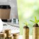 How to Start Your Journey and Make Money to Financial Freedom