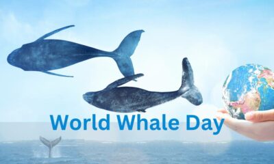 World Whale Day History and Significance of the Day