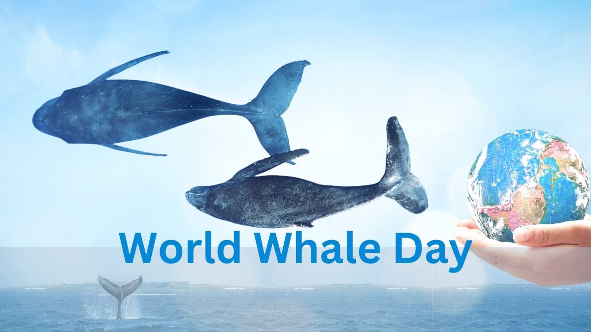 World Whale Day History and Significance of the Day