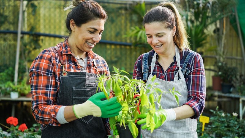 Sowing Seeds of Change Robert Glorioso Green Thumb and Gardening Philosophy