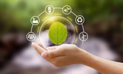 5 Pointers to Increase the Sustainability of Your Business