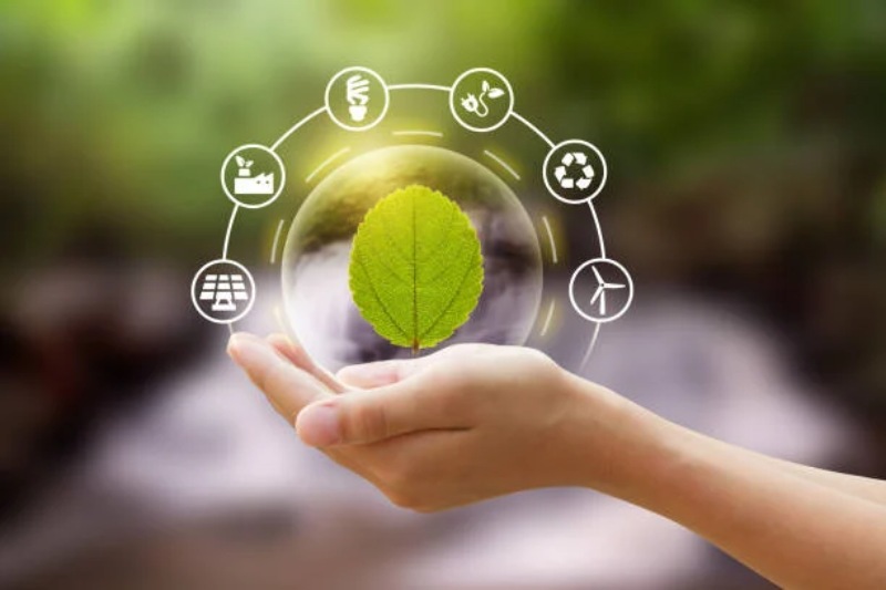 5 Pointers to Increase the Sustainability of Your Business