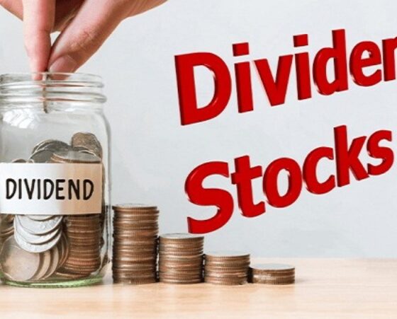 Which Dividend Stock Is Best for You, Visa