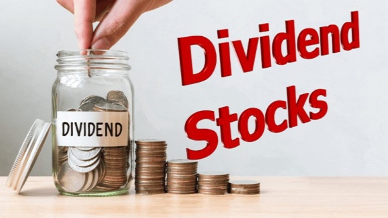 Which Dividend Stock Is Best for You, Visa