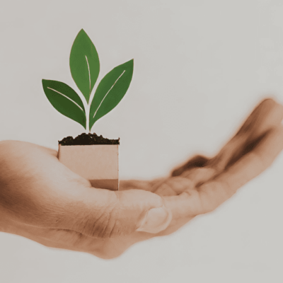 WHO Initiates Its First Round of Investments to Sustainably Fund Its Health for All Initiative 