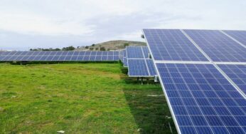 Advertising Techniques for Solar Businesses in 2024