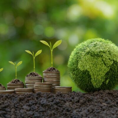 How To Ensure Your Business Complies With Environmental Law