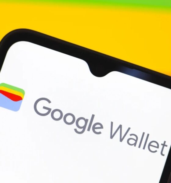 Google Wallet Add More States to Digital ID Support—Here’s What We Know
