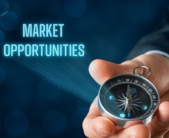 How to Analyze the Market to Find Business Growth Opportunities