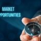 How to Analyze the Market to Find Business Growth Opportunities