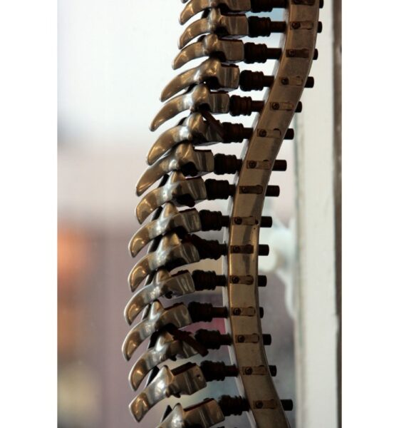 Rethinking Spine Surgery Training to Meet the Challenges of the Future Insights from Brent Felix