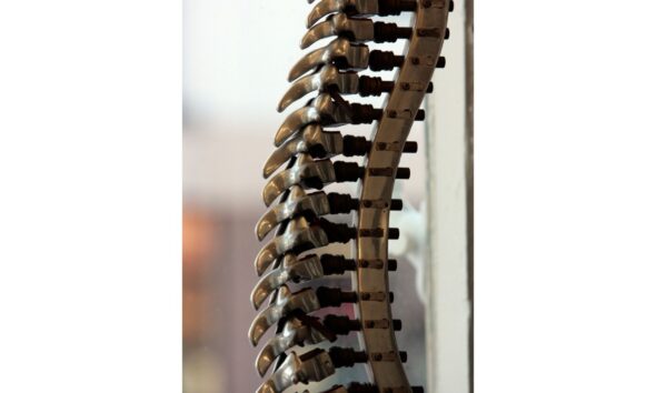 Rethinking Spine Surgery Training to Meet the Challenges of the Future Insights from Brent Felix