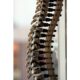 Rethinking Spine Surgery Training to Meet the Challenges of the Future Insights from Brent Felix