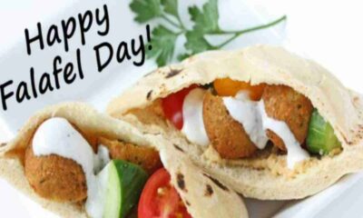 International Falafel Day History, Significance and How to Celebrate the Day