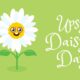 National Upsy Daisy Day History, Significance and How to Celebrate the Day