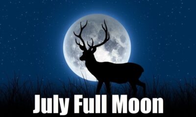 July Full Moon 2025 Everything You Should Need to Know, When and Where to See Buck Moon