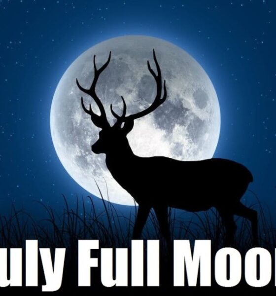 July Full Moon 2025 Everything You Should Need to Know, When and Where to See Buck Moon