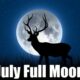 July Full Moon 2025 Everything You Should Need to Know, When and Where to See Buck Moon