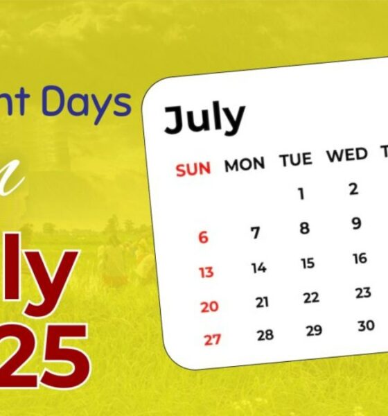List of July National and International Days You Should Know and Celebrate