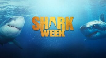 Shark Week 2025: History and Significance