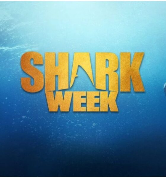 Shark Week 2025 History and Significance
