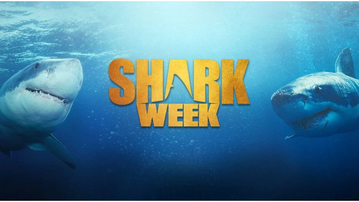 Shark Week 2025 History and Significance