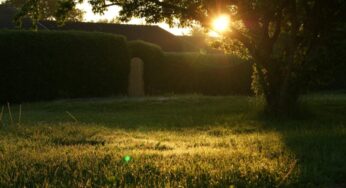 What is Causing Your Sewage to Backup