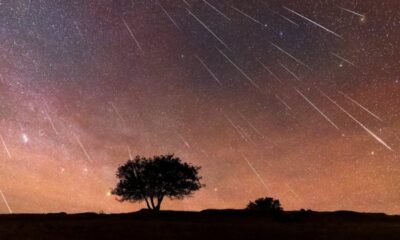 Here's What You Need to Know about the Perseid Meteor Shower 2025, Which will Peak on August 12 13