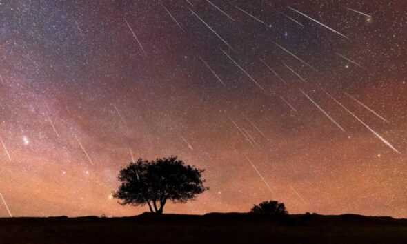 Here's What You Need to Know about the Perseid Meteor Shower 2025, Which will Peak on August 12 13