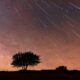 Here's What You Need to Know about the Perseid Meteor Shower 2025, Which will Peak on August 12 13