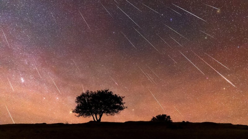 Here's What You Need to Know about the Perseid Meteor Shower 2025, Which will Peak on August 12 13