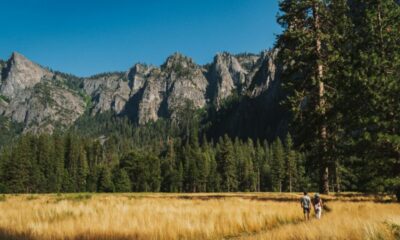 The Adventurous Couple’s Guide to Getting Eloped in Yosemite