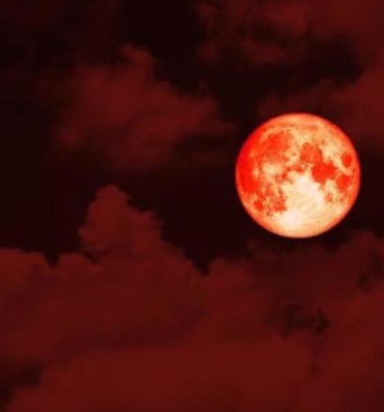 Things You Should Need to Know about Total Lunar Eclipse, Blood Moon