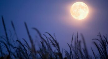 Things to Know about the 2025 Harvest Moon, October Full Supermoon