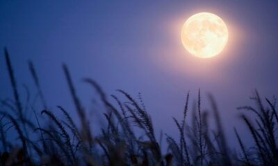 Things to Know about the 2025 Harvest Moon, October Full Supermoon