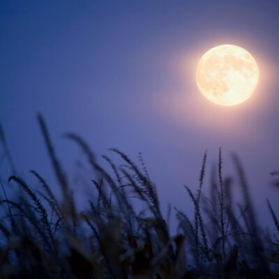 Things to Know about the 2025 Harvest Moon, October Full Supermoon